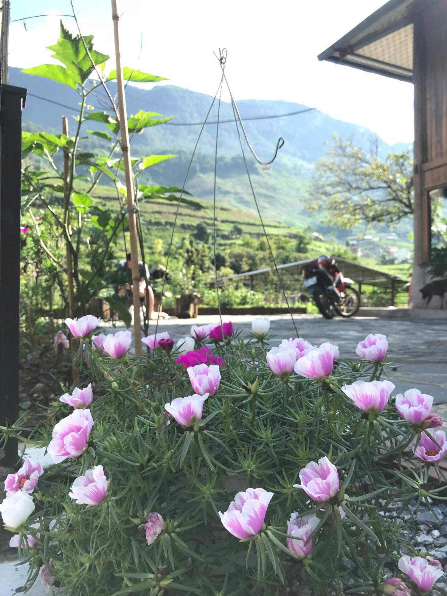 Little Ta Van Homestay Sa Pa Kültér fotó